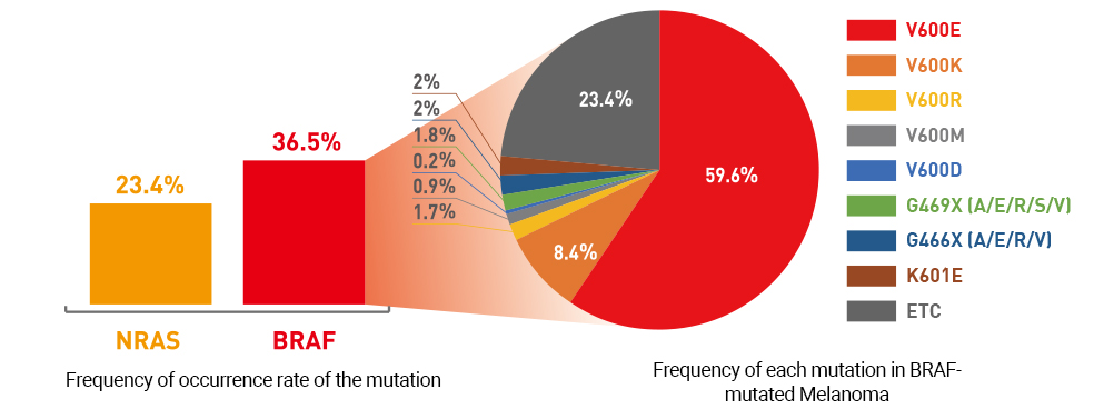 Frequency of mutations in melanoma